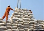 Improved quality and higher demand boost Vietnam rice export outlook