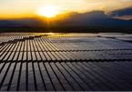 Vietnam’s solar success story and notes for investors (Part 1)