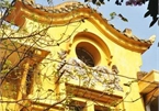 Urgent conservation of old French villas in Hanoi