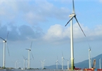 Offshore wind likely contribute 12% to Vietnam’s power by 2035: World Bank