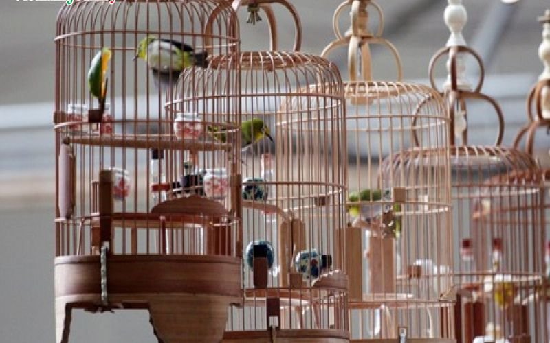 Hanoi’s birdcage craft village is unique in Vietnam