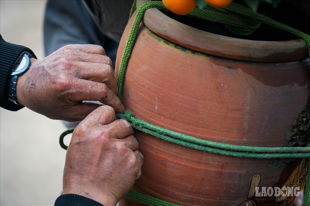 Hai bàn tay thô ráp, đem sạn cùng những sợi dây buộc, đôi khi còn chảy máu do bị mài vào chậu gốm lúc gia cố. Vất vả là thế, anh H vẫn vui vẻ cười rồi nói : “nhằm nhò gì đâu”.