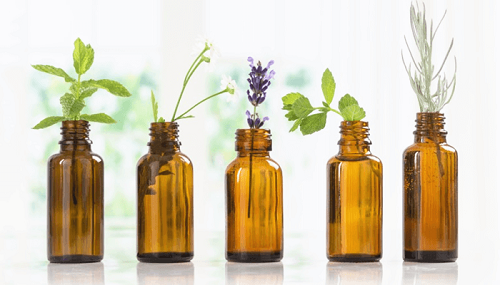 TInh dầu thiên nhiên được chiết xuất từ cây cỏ động vật---