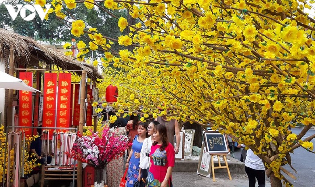 HCM City to host annual flower festival and markets during Tet