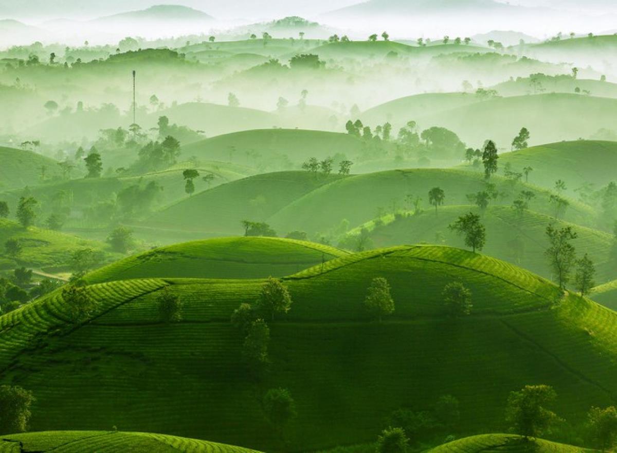 The photo titled “Trung Du wakes up” by Bui Viet Duc is awarded a silver prize in the beauty of nature category.