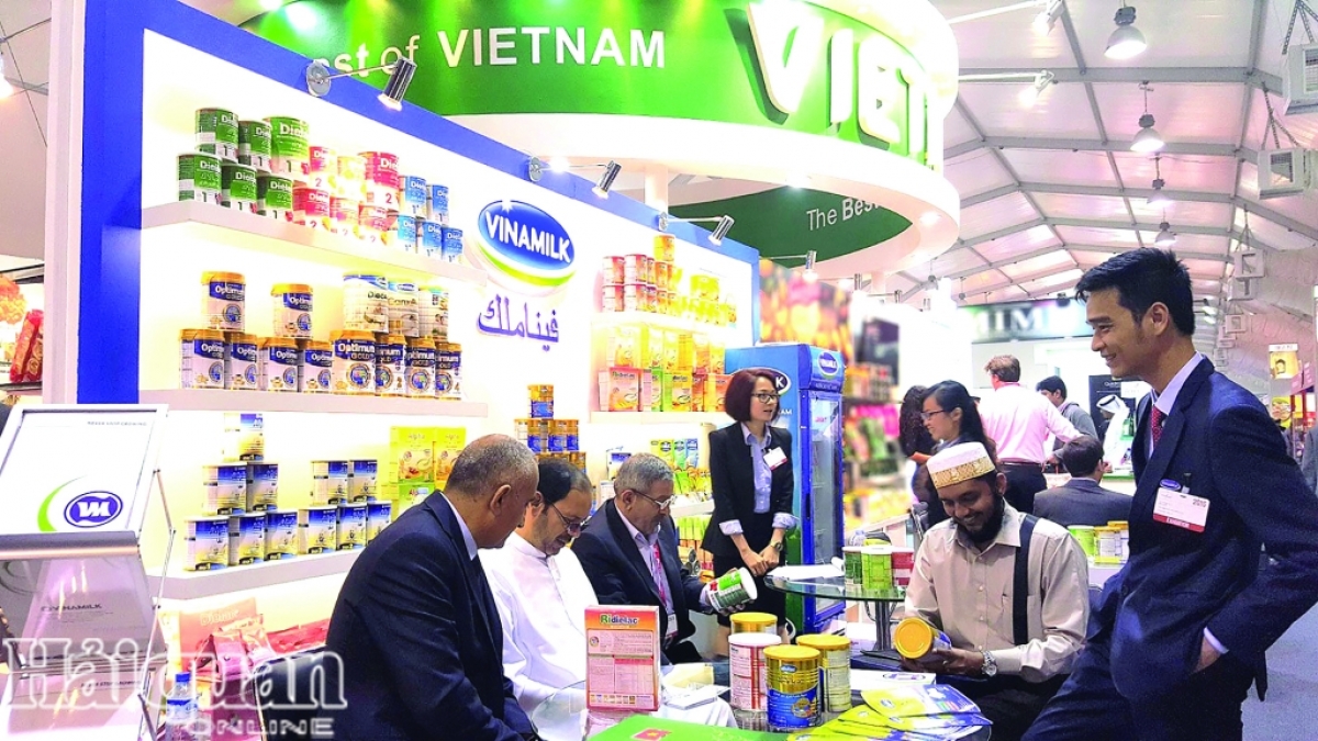 Vietnam's milk export market has been expanded to nearly 56 countries and territories globally, according to the Vietnam Dairy Association (Photo: haiquanonline.com.vn)