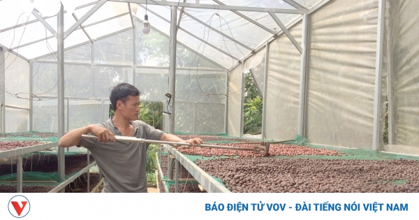 Gã Đường “gàn” và khát vọng làm nông nghiệp sinh thái