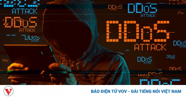 Mỹ và châu Âu xử phạt các vụ tấn công từ chối dịch vụ mạng như thế nào?