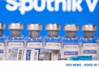 Sputnik V vaccine manufactured by Vietnam meets quality standards