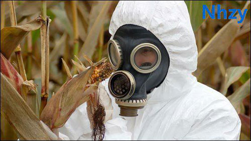 Có nơi nào không tồn tại sự sống trên Trái Đất? - 5