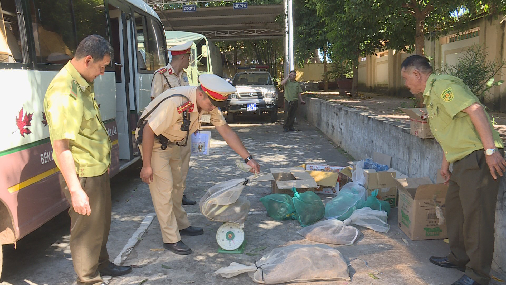 Nhận chở gà con, kiểm tra thấy động vật rừng số lượng lớn - Ảnh 1.