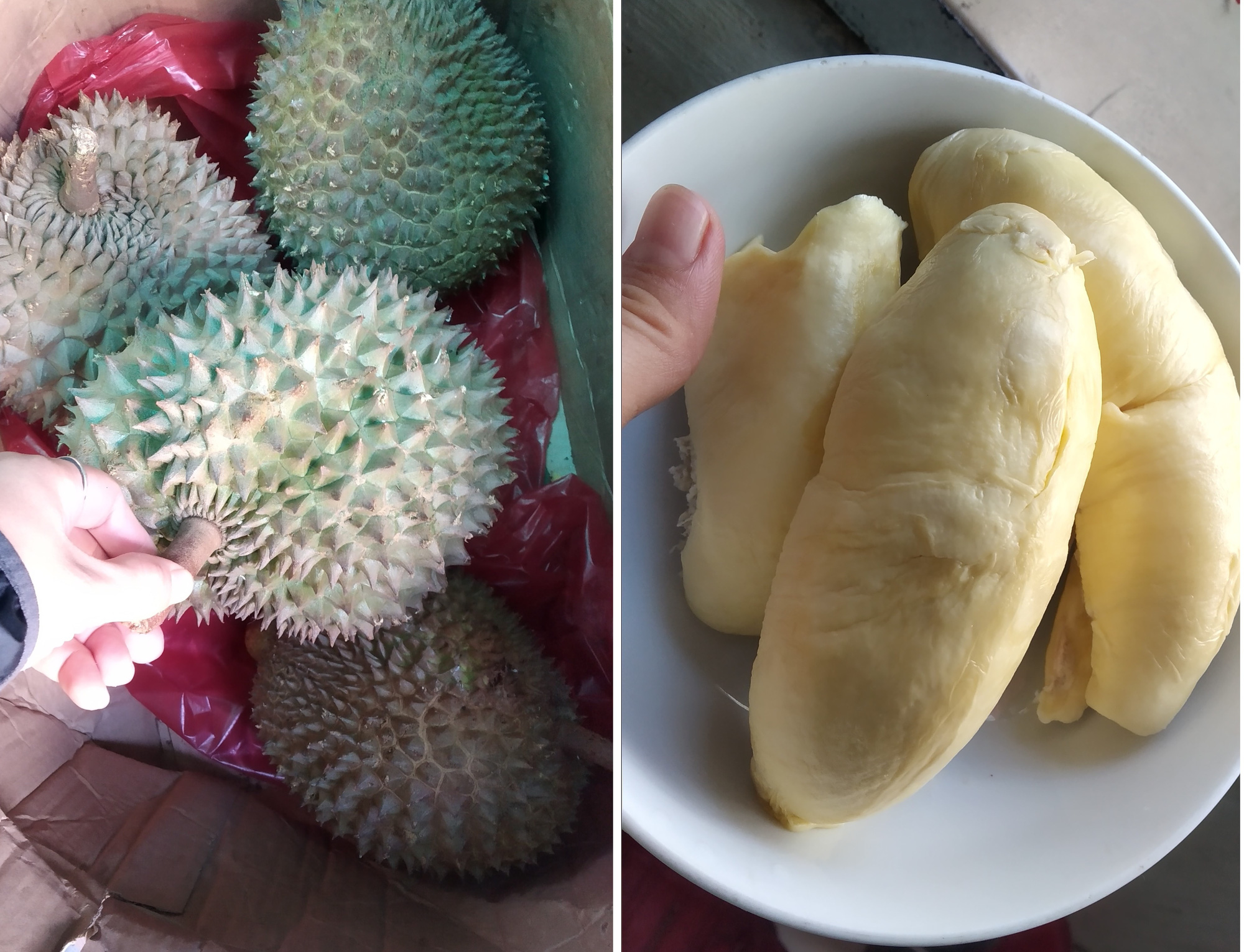 Xuất khẩu giảm gần 90%, sầu riêng từ xa xỉ thành bình dân - Ảnh 1.