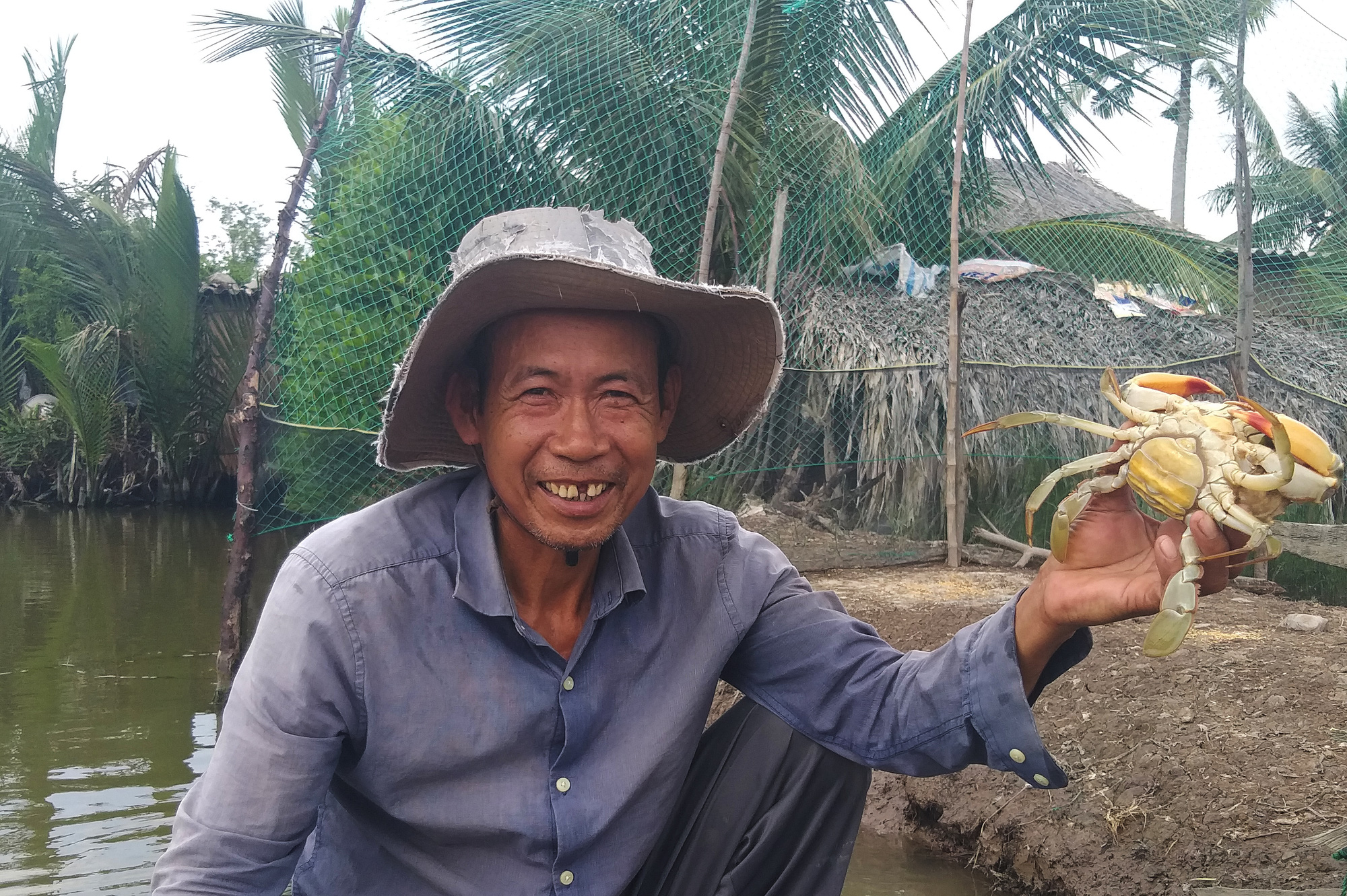 Ngày Tết, cua biển ngon nhất miền Tây giá 1 triệu đồng/kg - Ảnh 3.