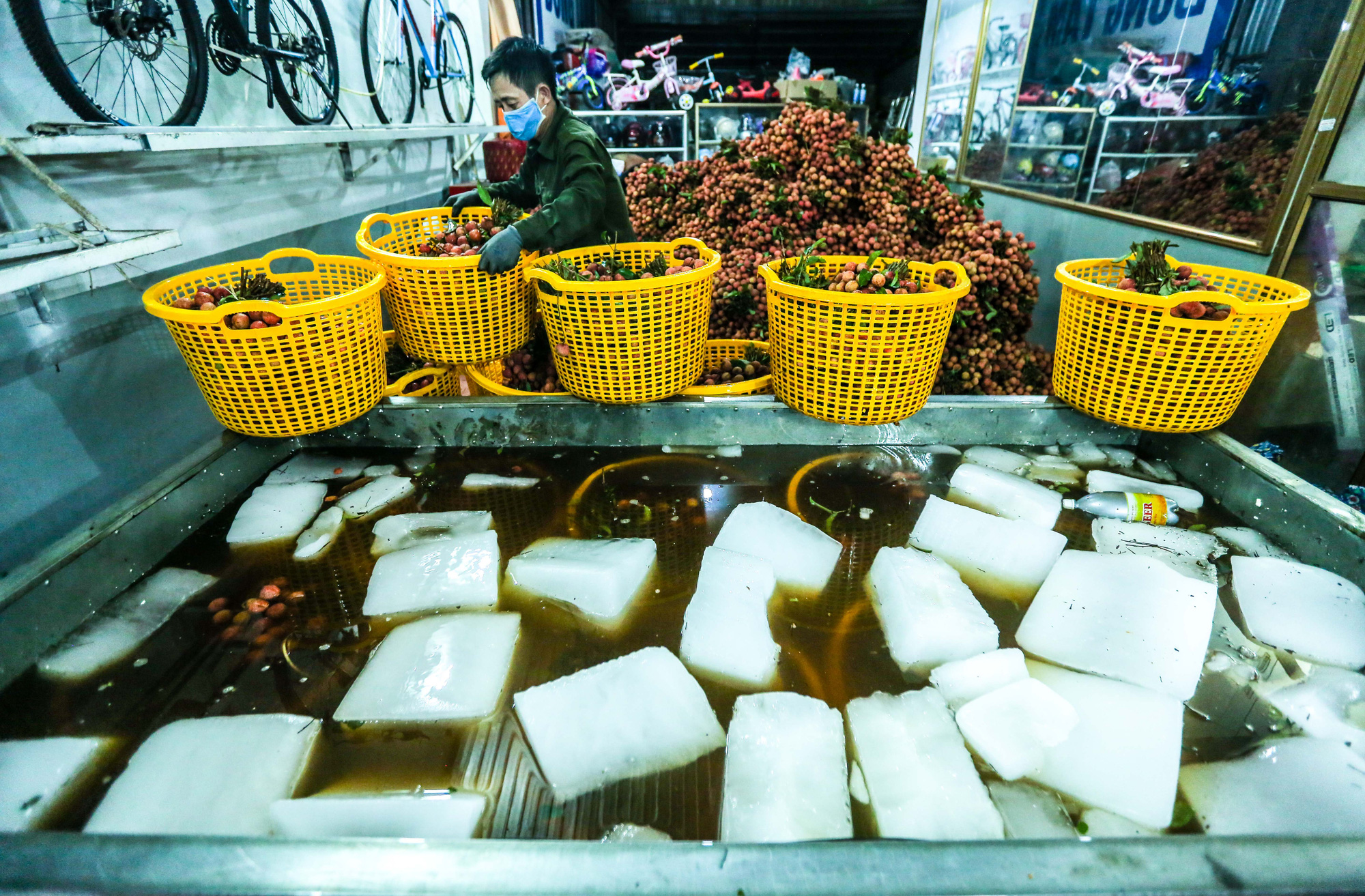 CLIP: Xuyên đêm đóng gói vải đưa sang Trung Quốc tiêu thụ - Ảnh 8.