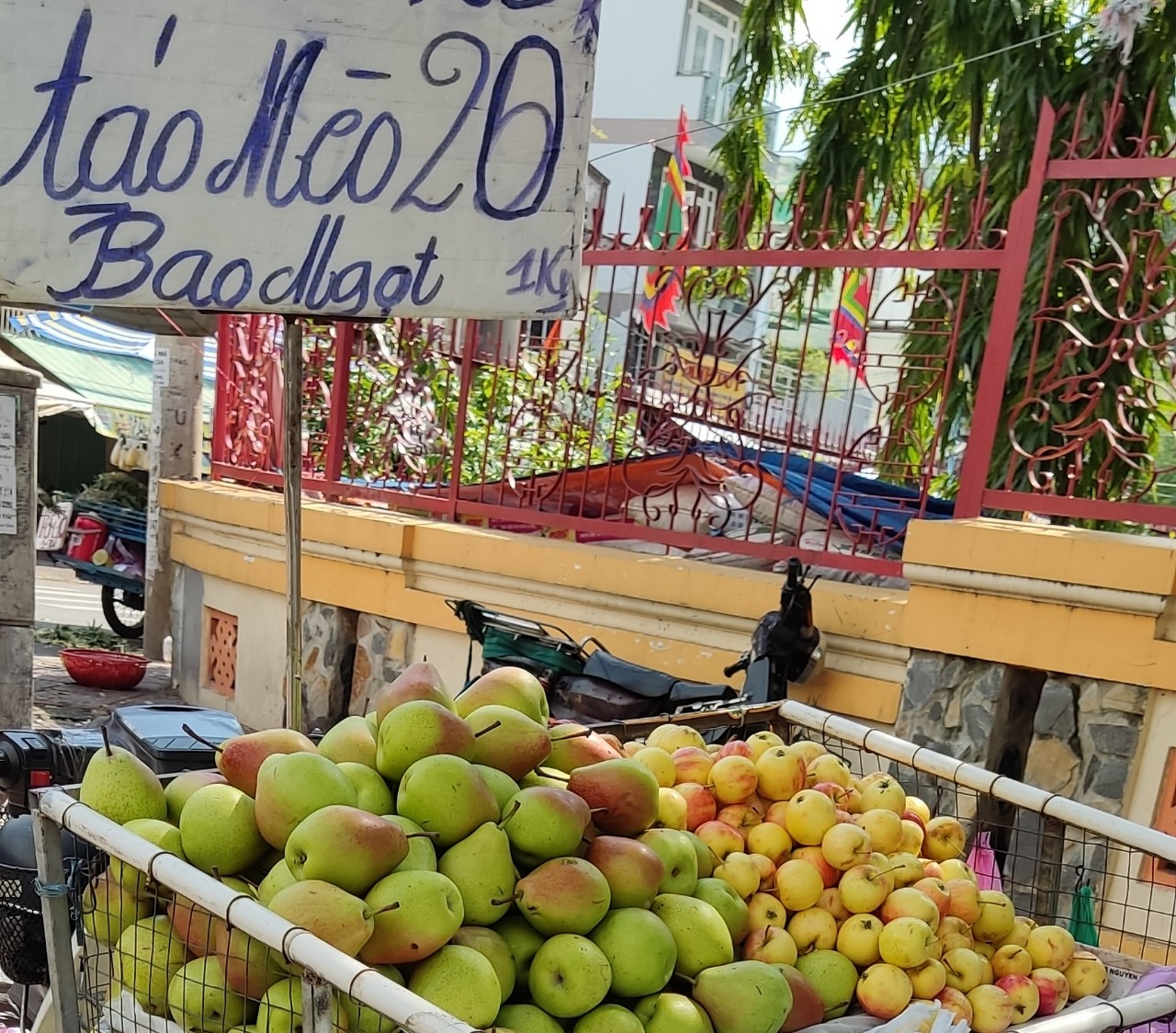 Táo mini Trung Quốc giá rẻ khó tin - Ảnh 2.