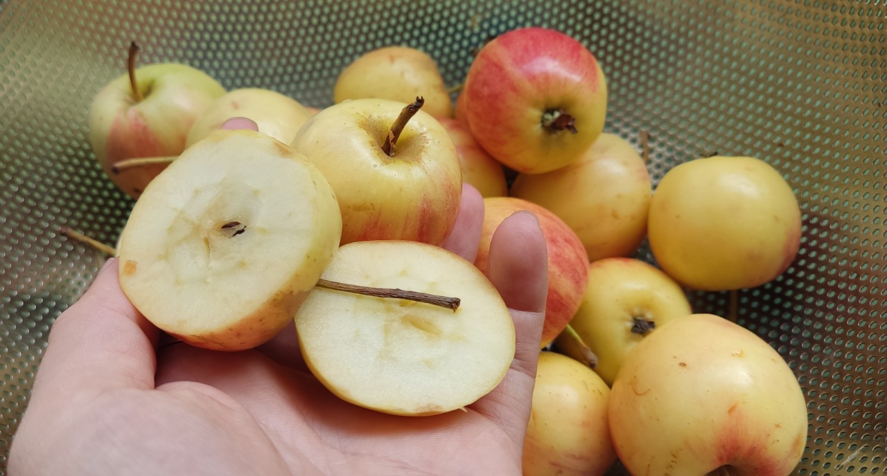 Táo mini Trung Quốc giá rẻ khó tin - Ảnh 1.