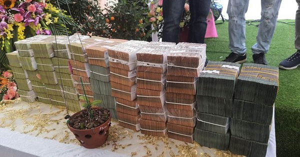 Công an, thuế vào cuộc xác minh vụ bán lan đột biến 250 tỉ đồng