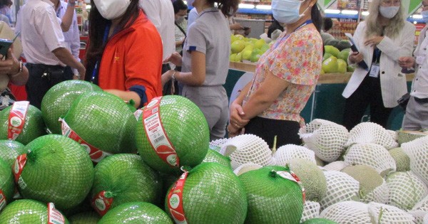 Bưởi da xanh dội chợ, giá rẻ chưa từng thấy