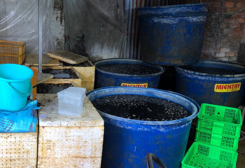 Từ vụ phát hiện 1,8 tấn ốc ngâm hóa chất: Chuyên gia khẳng định ăn phải loại ốc này, cơ thể sẽ