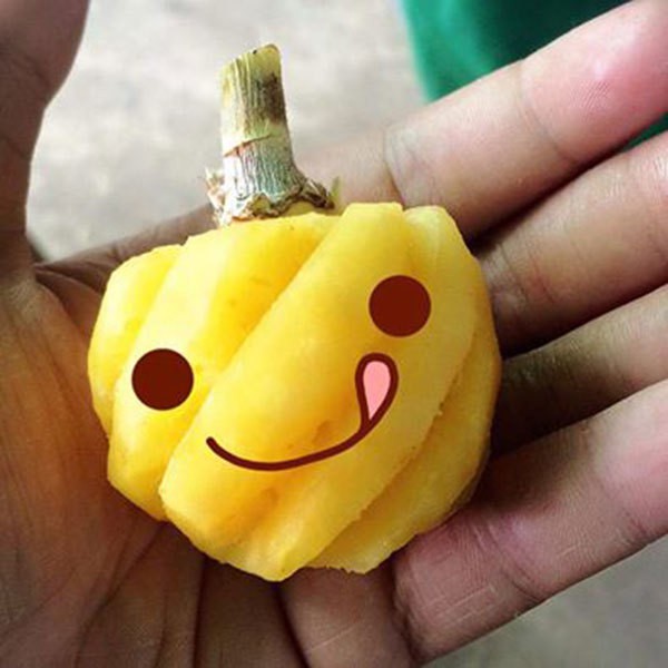 5 loai qua ty hon di may bay ve Viet Nam... gia