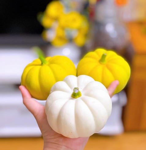 5 loai qua ty hon di may bay ve Viet Nam... gia