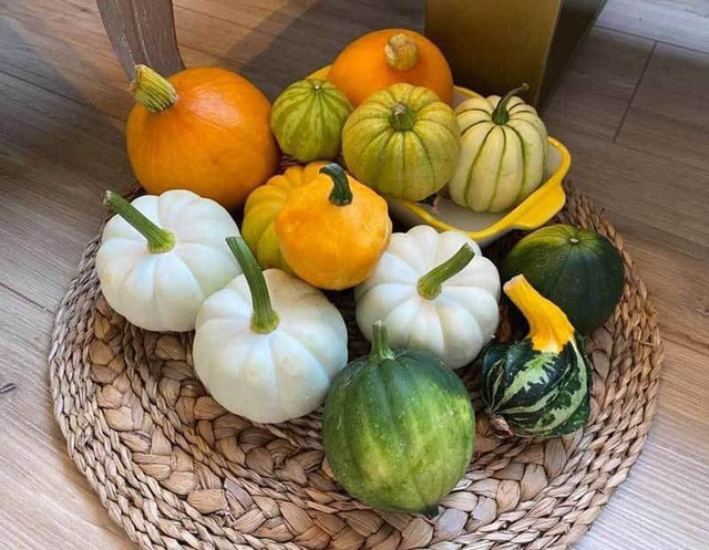 5 loai qua ty hon di may bay ve Viet Nam... gia