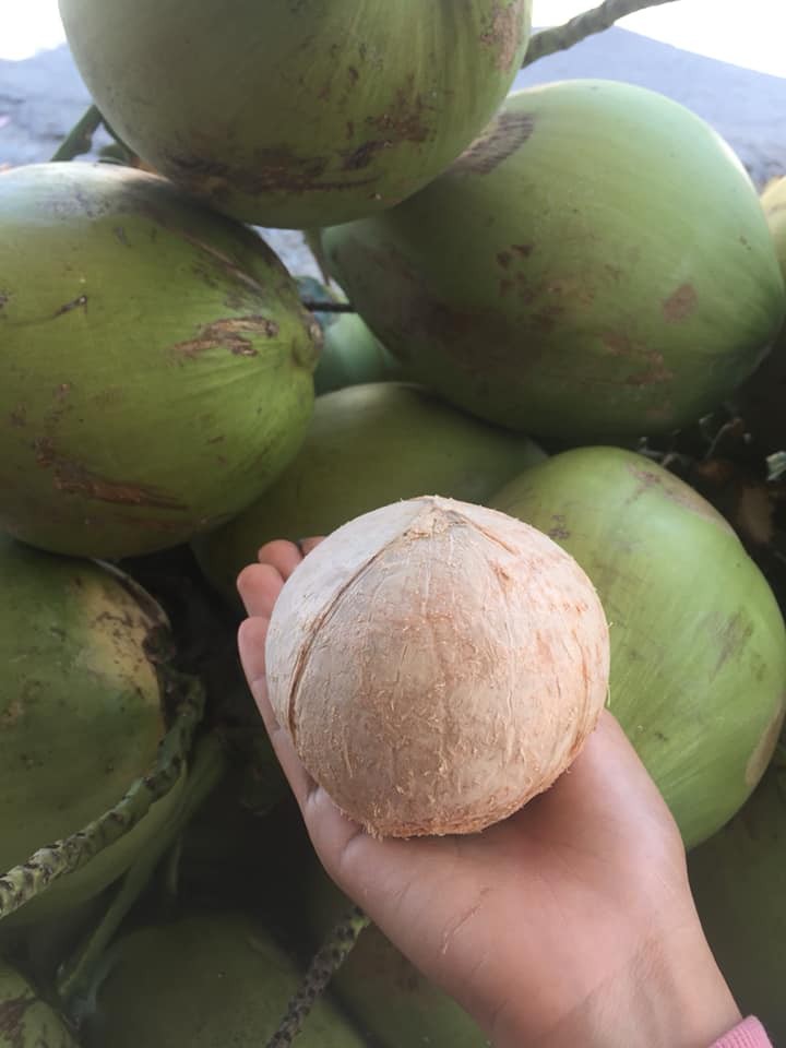 5 loai qua ty hon di may bay ve Viet Nam... gia