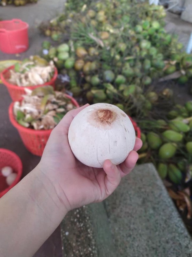 5 loai qua ty hon di may bay ve Viet Nam... gia