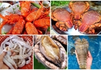 5 loại hải sản 'nhà giàu' ở các vùng biển đảo Việt Nam