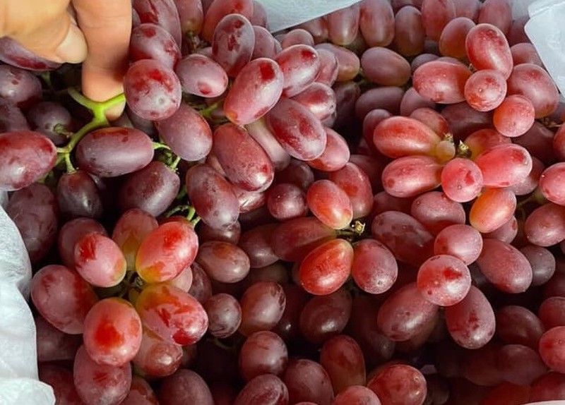 Nho Đỏ Không Hạt - Lợi Ích Sức Khỏe Và Cách Bảo Quản