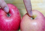 Đầu bếp mách bạn cách chọn táo mọng nước giòn ngon nhất