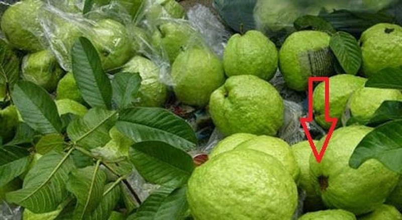 Cứ chọn đúng quả có điểm này là ổi giòn ngon tuyệt hảo