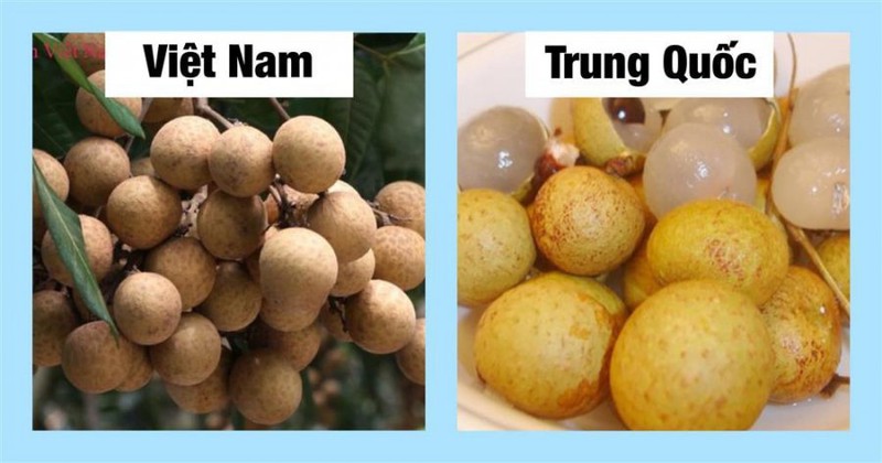 20 cách phȃn biệt rau củ Trung Quṓc và Việt Nam, nắm chắc ᵭể tránh mua nhầm - 1-Hinh-10