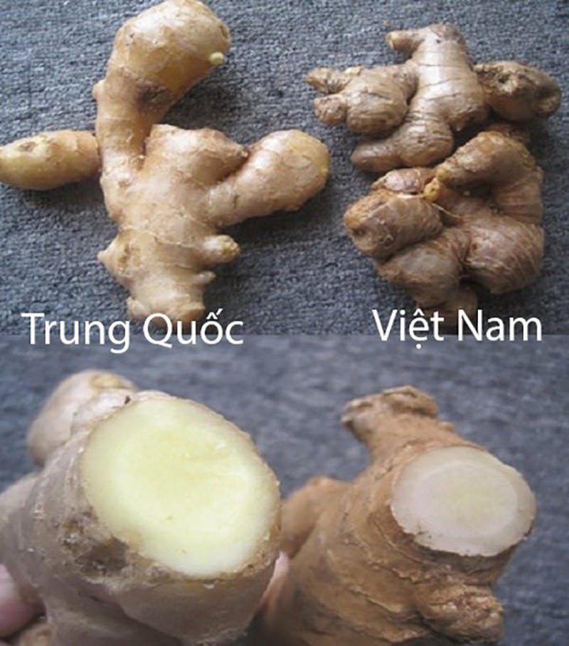 20 cach phan biet rau cu Trung Quoc va Viet Nam, nam chac de tranh mua nham-Hinh-19