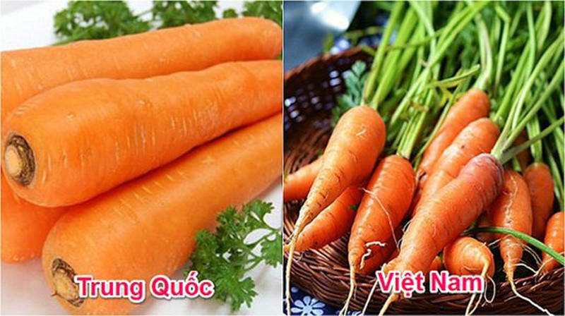 20 cách phȃn biệt rau củ Trung Quṓc và Việt Nam, nắm chắc ᵭể tránh mua nhầm - 1-Hinh-2