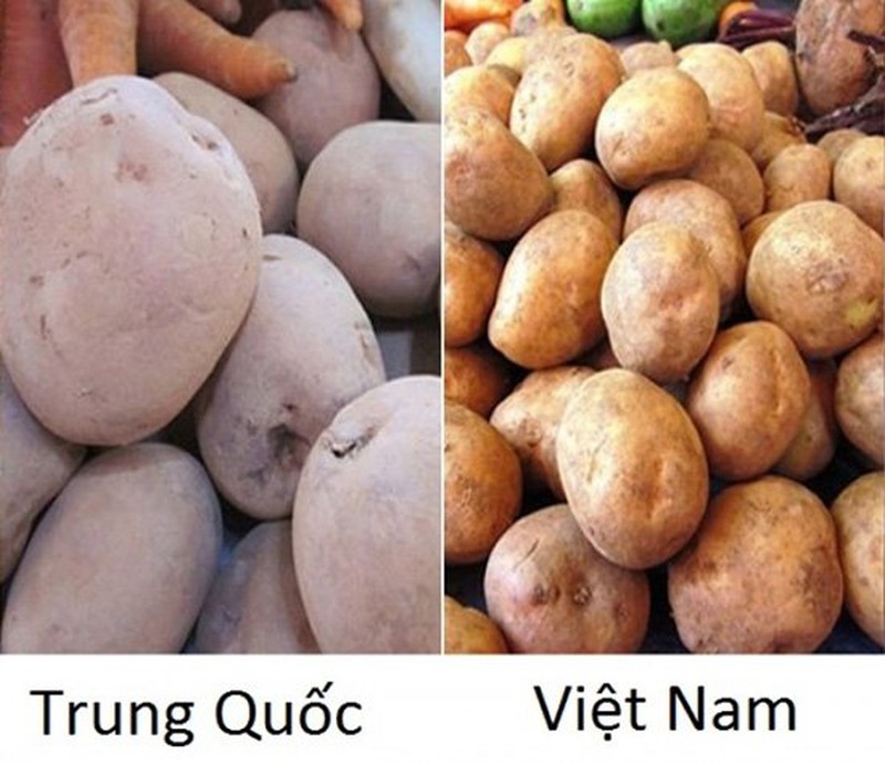 20 cách phȃn biệt rau củ Trung Quṓc và Việt Nam, nắm chắc ᵭể tránh mua nhầm - 1-Hinh-7