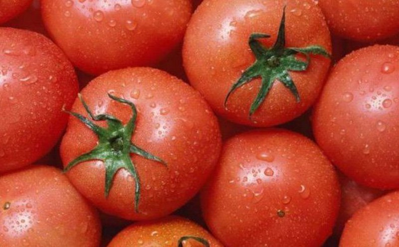 Cách chọn mua cà chua