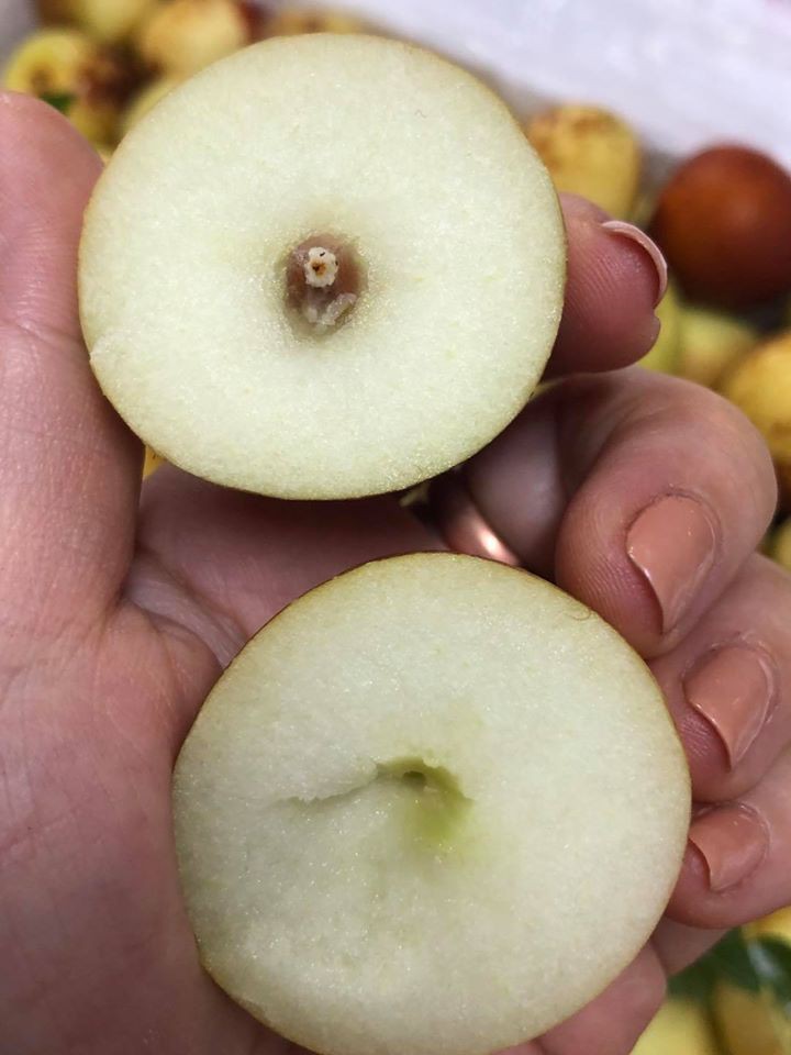 Bat ngo 3 loai qua nhin nhu dap thoi nhung gia