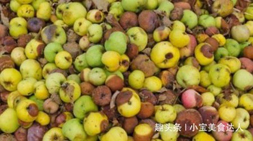 Bat ngo 3 loai qua nhin nhu dap thoi nhung gia