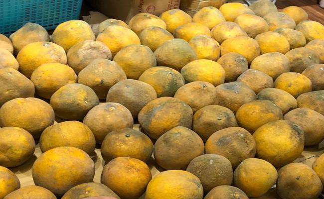 Bat ngo 3 loai qua nhin nhu dap thoi nhung gia