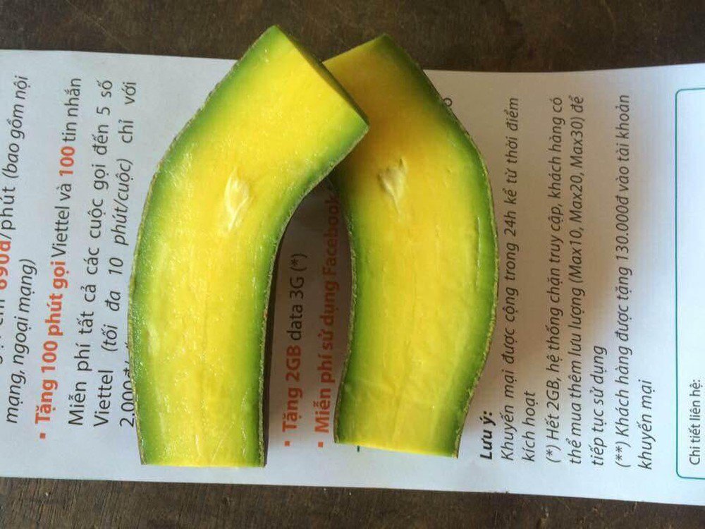 Nhung loai trai cay khong hat “gia chat” van hut khach-Hinh-8