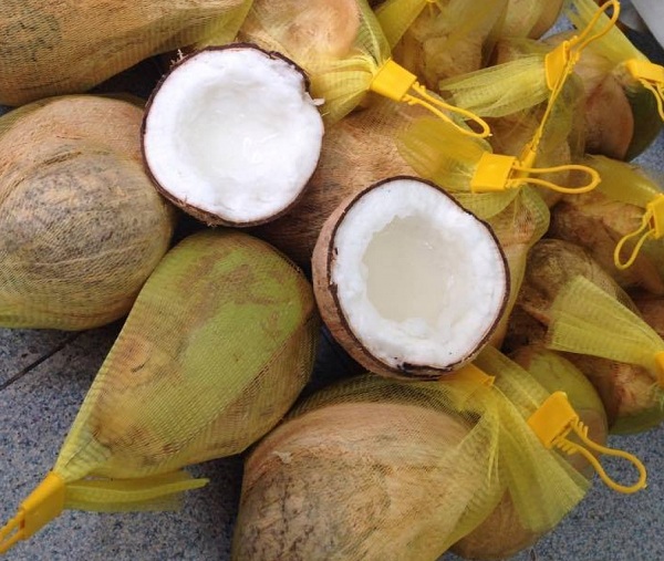 Dừa sáp giá 300.000 đồng/quả