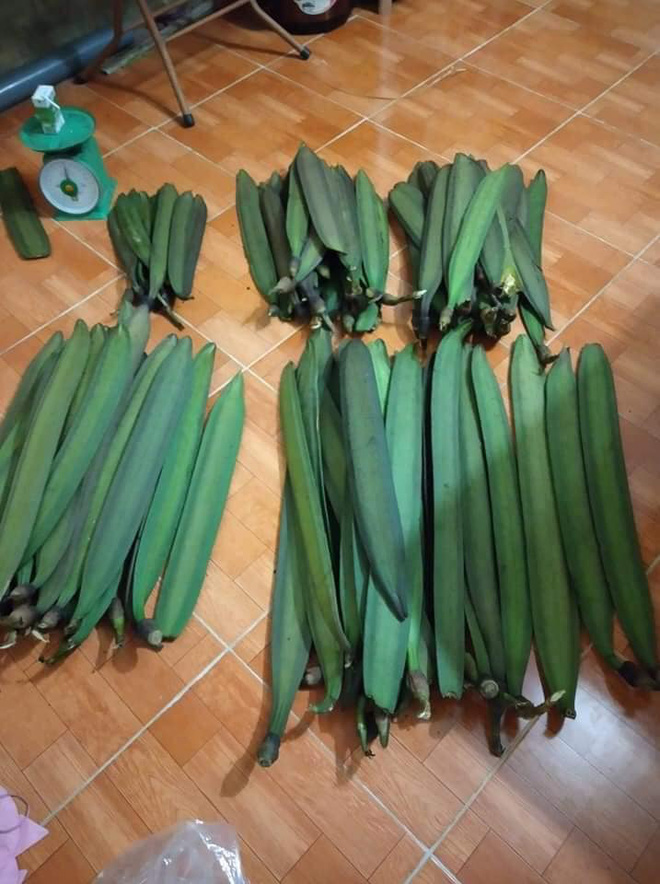 3 loai qua xua “chong doi” nay thanh dac san “chay hang“-Hinh-9