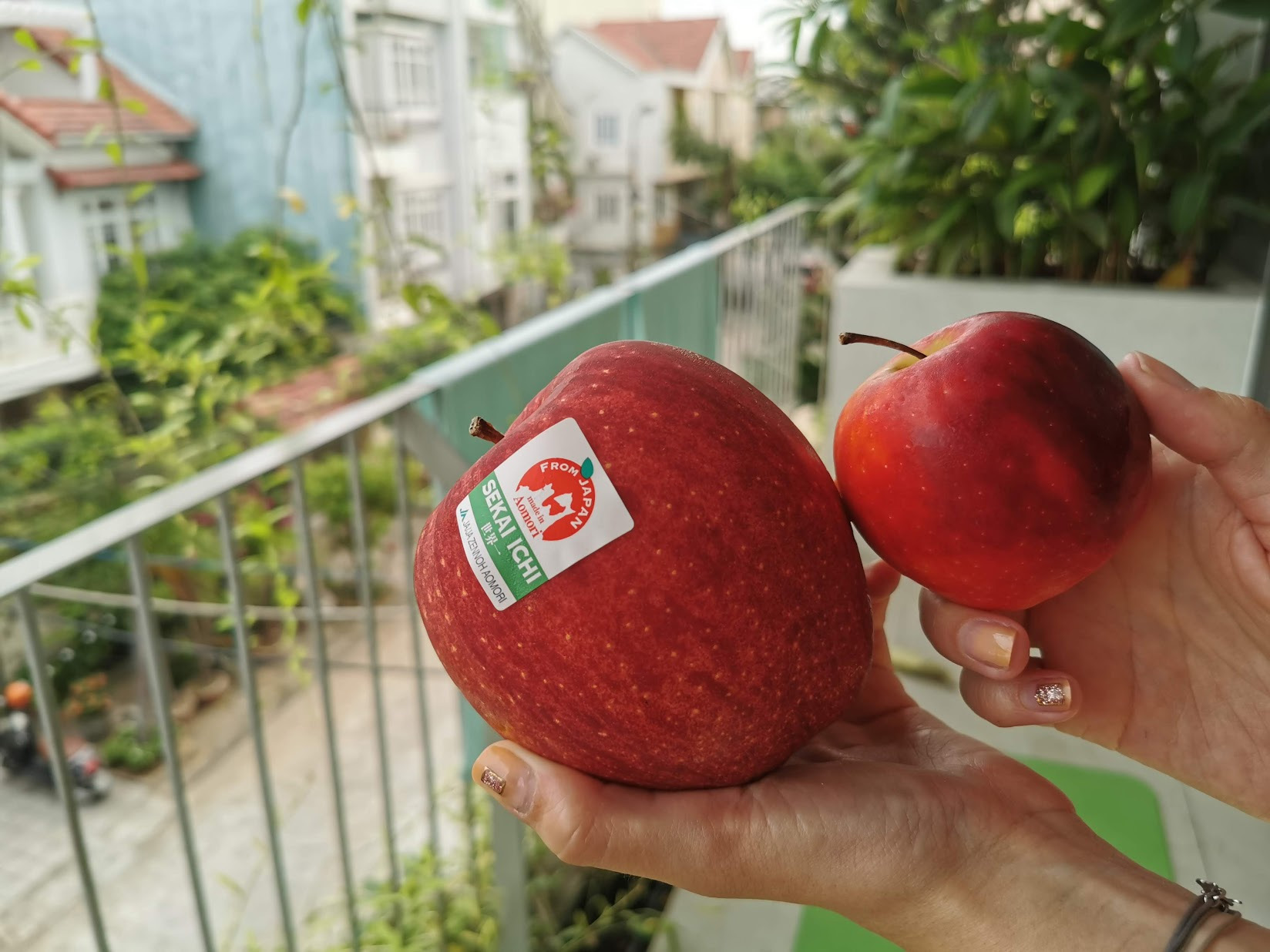 Kích thước của táo Sekai Ichi được xếp vào hàng "siêu to khổng lồ" với chu vi từ 30-46cm, trọng lượng mỗi quả có khi gần cả 1kg. Ảnh: TasteAtlas
