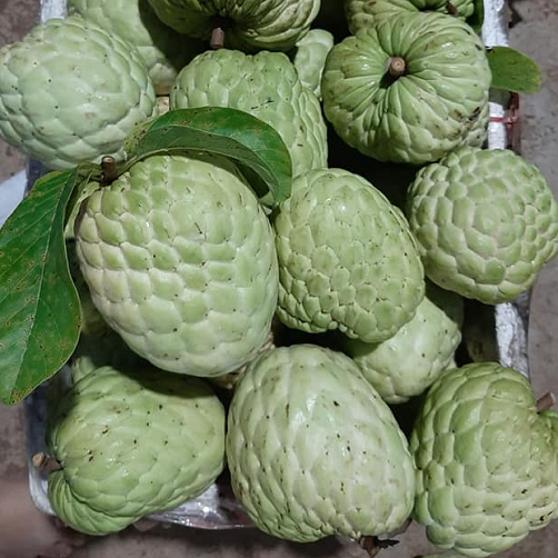 Diem danh nhung dac san mang ten “hoang toc” hai ra tien