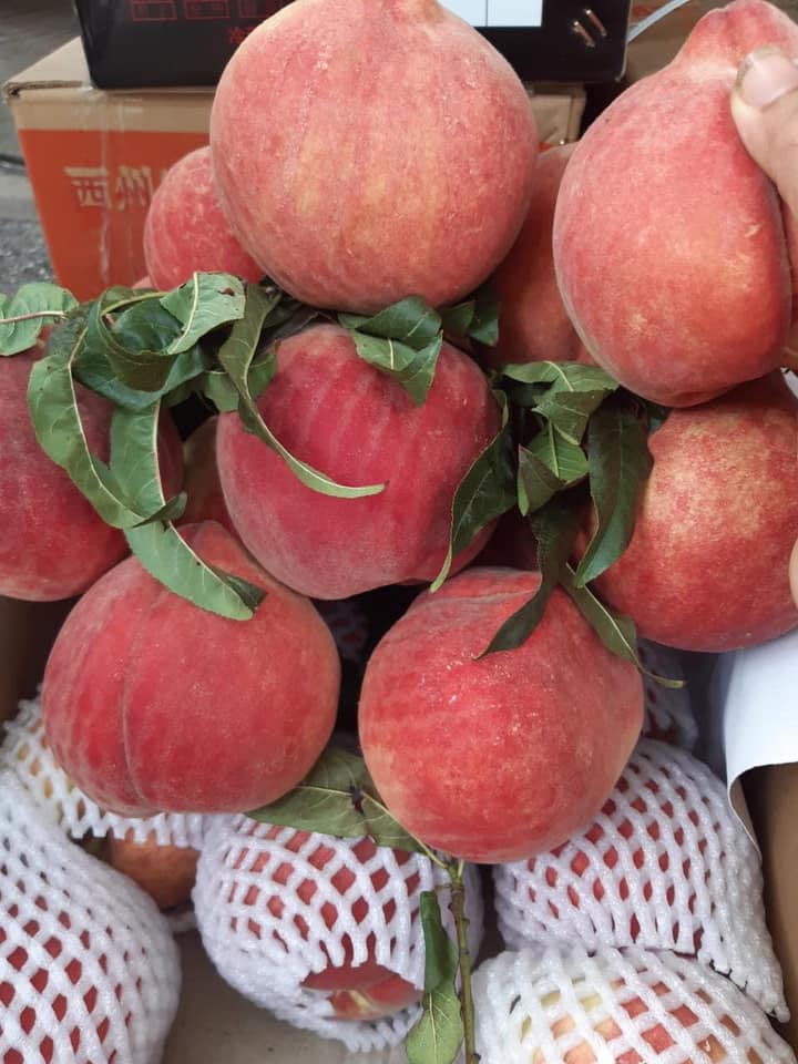 Boc gia nhung loai dao Trung Quoc gay sot thi truong Viet-Hinh-4