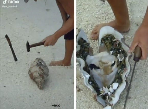 “Quai so” 50 trieu dong/con xon xao thi truong gia