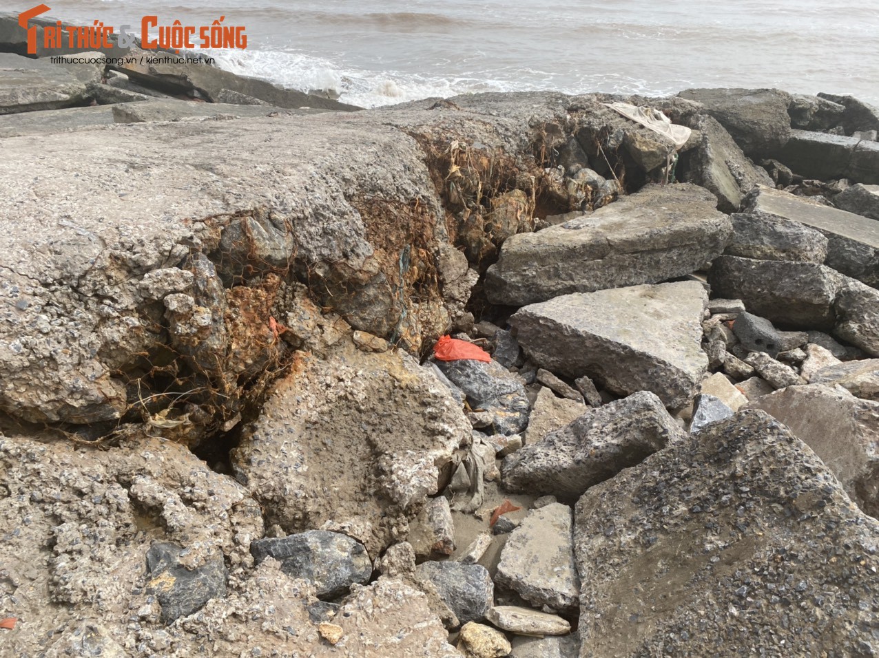 Lanh nguoi canh tan hoang khu du lich bien Thinh Long-Hinh-14