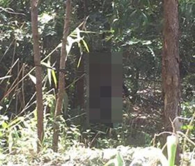 Chánh án tòa huyện chết trên rẫy nghi do uống thuốc bảo vệ thực vật tự tử