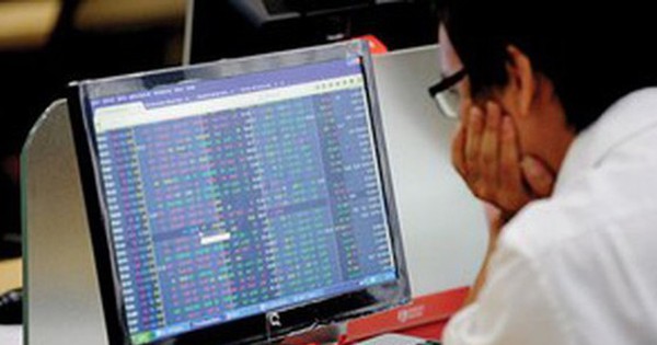 Stock market continues to draw new investors